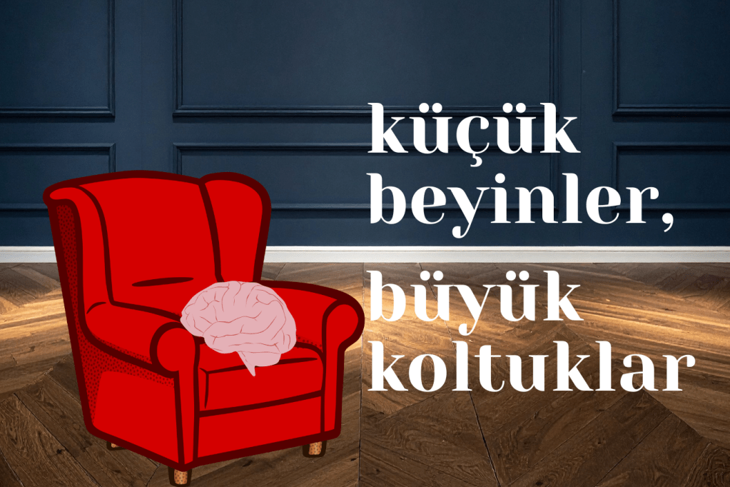 Küçük Beyinler, Büyük Koltuklar